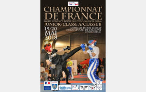 Championnat de France Light Contact Juniors - Seniors - Vétérans