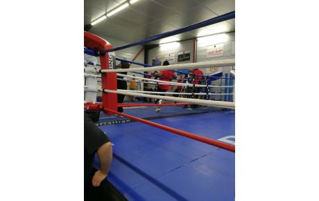 Journée territoriale Sports de Contact